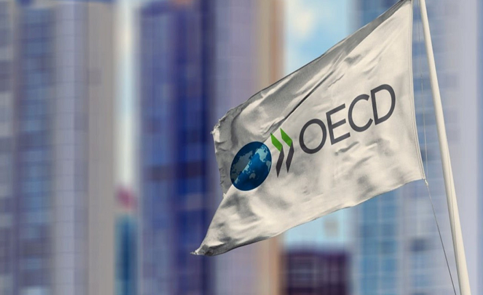 OECD’den yeni değerlendirme: Türkiye ekonomisi yüzde 3,5 büyüyecek