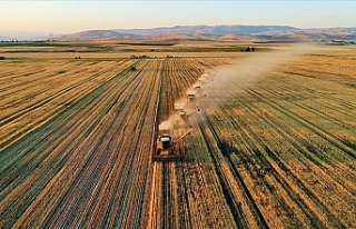 Tarım ÜFE temmuzda aylık bazda yüzde 1,74 arttı